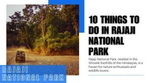 10 Things To Do In Rajaji National Park