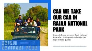 Can we take our car in Rajaji National Park