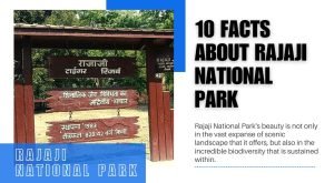 10 Facts About Rajaji National Park