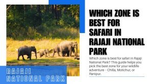Which zone is best for safari in Rajaji National Park