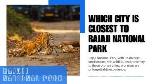 Which city is closest to Rajaji National Park