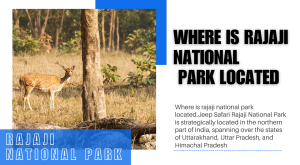 which city is closest to rajaji national park