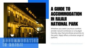 A Guide to Accommodation in Rajaji National Park