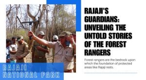 Rajaji's Guardians: Unveiling the Untold Stories of the Forest Rangers